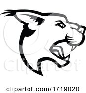 Poster, Art Print Of Head Of Angry Caracal Side Mascot Black And White
