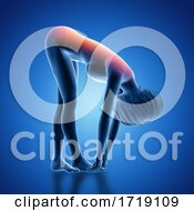 3D Female Figure In Bent Over Position With Back Highlighted