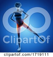 Poster, Art Print Of 3d Female Figure In Leg Raise Pose With Muscles Used Highlighted