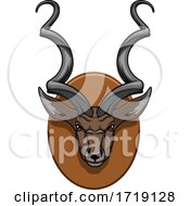 Poster, Art Print Of Hunting Sports Trophy Taxidermy Mounted Kudu Head