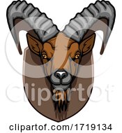 Poster, Art Print Of Hunting Sports Trophy Taxidermy Mounted Ibex Head