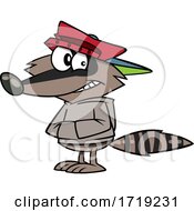 Cartoon Shifty Raccoon