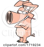 Cartoon Swine With The Flu