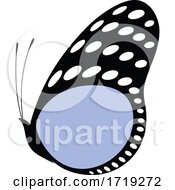Poster, Art Print Of Elegant Butterfly