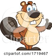 Poster, Art Print Of Cartoon Beaver Mascot Giving A Thumb Up