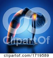 Poster, Art Print Of 3d Female Figure In Camel Pose With Muscles Used Highlighted