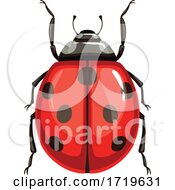 Ladybug by Vector Tradition SM