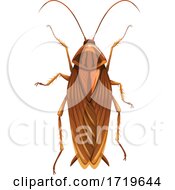 Poster, Art Print Of Cockroach