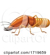 Poster, Art Print Of Termite