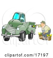 Man Crouching While Putting Ears Of Corn Into A Green Corn Powered Biodiesel Truck