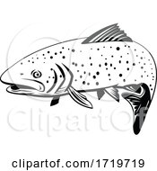 Poster, Art Print Of Rainbow Trout Fish Swimming Left Retro Black And White