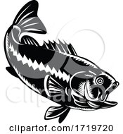Poster, Art Print Of Largemouth Bass Diving Down Black And White Retro Woodcut