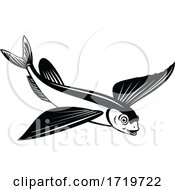 Sailfin Flying Fish Or Flying Cod Side View Retro Black And White