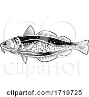 Poster, Art Print Of Atlantic Cod Gadus Morhua Or Codling Side View Retro Style Black And White