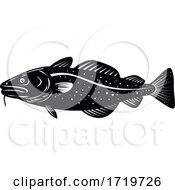 Poster, Art Print Of Atlantic Cod Gadus Morhua Or Codling Side Woodcut Retro Black And White