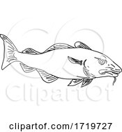 Poster, Art Print Of Atlantic Cod Gadus Morhua Or Codling Side View Line Art Style Black And White