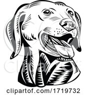 Head Of A Labrador Retriever Gun Dog Retro Woodcut Black And White