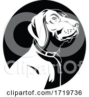 Head Of A German Shorthaired Pointer Dog Retro Black And White