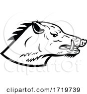 Poster, Art Print Of Wild Boar Wild Swine Common Wild Pig Head Side Mascot Black And White