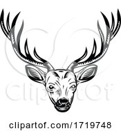 Poster, Art Print Of Head Of Stag Buck Or Deer Front View Retro Woodcut Black And White