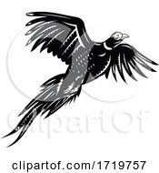 Poster, Art Print Of Ring Necked Pheasant Flying Retro Black And White