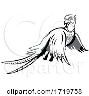 Ring Necked Pheasant Flying Up Cartoon Black And White
