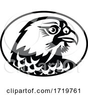 Poster, Art Print Of Head Of Peregrine Falcon Or The Duck Hawk Side Mascot Black And White