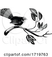 Poster, Art Print Of New Zealand Fantail Bird Rhipidura Fuliginosa Perching On Branch Retro Woodcut Black And White
