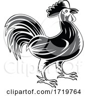 Poster, Art Print Of Rooster Jungle Fowl Or Cockerel Looking Up Side View Retro Woodcut Black And White