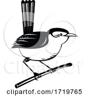 Poster, Art Print Of Wren Brown Passerine Bird Perching On Branch Retro Black And White