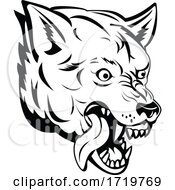 Poster, Art Print Of Head Of An Aggressive And Angry Gray Wolf Grey Wolf Or Canis Lupus Mascot Black And White
