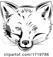 Poster, Art Print Of Red Fox Head Viewed From Front Retro Black And White Style