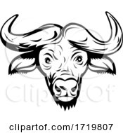 Poster, Art Print Of Head Of An African Buffalo Or Cape Buffalo Front View Retro Black And White