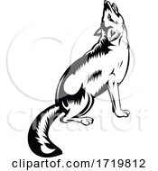 Poster, Art Print Of Red Fox Howling Viewed From Side Retro Black And White Style
