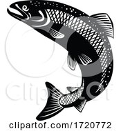 Poster, Art Print Of Rainbow Trout Oncorhynchus Mykiss Steelhead Columbia River Redband Trout Jumping Retro Woodcut Black And White