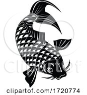 Poster, Art Print Of Koi Jinli Or Nishikigoi Brocaded Carp A Colored Variety Of The Amur Carp Swimming Down Retro Woodcut Black And White