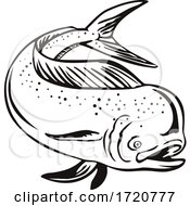 Poster, Art Print Of Dorado Mahi Mahi Or Common Dolphinfish Jumping Up Retro Black And White