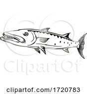 Poster, Art Print Of Barracuda Or Sphyraena Barracuda Swimming Side View Retro Black And White