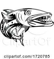 Poster, Art Print Of Barracuda Or Sphyraena Barracuda Swimming Up Woodcut Retro Black And White