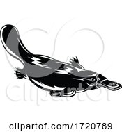 Poster, Art Print Of Duck Billed Platypus Ornithorhynchus Anatinus Swimming Down Retro Woodcut Black And White