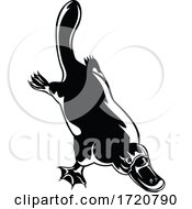 Poster, Art Print Of Duck Billed Platypus Ornithorhynchus Anatinus Diving Retro Woodcut Black And White