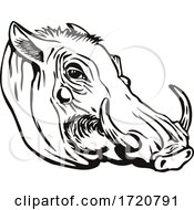 Head Of Common Warthog Or Phacochoerus Africanus Side View Retro Woodcut Black And White