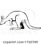 Wallaby Or Kangaroo Side View Retro Black And White