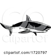 Poster, Art Print Of Great White Shark Carcharodon Carcharias White Shark Or White Pointer Side View Retro Woodcut Black And White