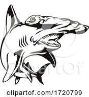 Poster, Art Print Of Scalloped Hammerhead Shark Or Sphyrna Lewini Front View Retro Woodcut Black And White