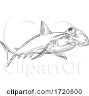 Poster, Art Print Of Great Hammerhead Sphyrna Mokarran The Largest Species Of Hammerhead Shark Etching Black And White Style