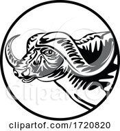 Head Of An African Buffalo Or Cape Buffalo Front View Retro Black And White