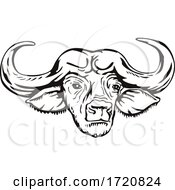 Head Of Cape Buffalo Or African Buffalo Syncerus Caffer Front View Retro Woodcut Black And White