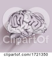 3D Medical Background With Brain