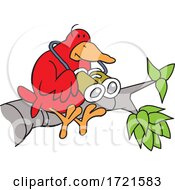 Cartoon Red Bird Holding Binoculars On A Branch